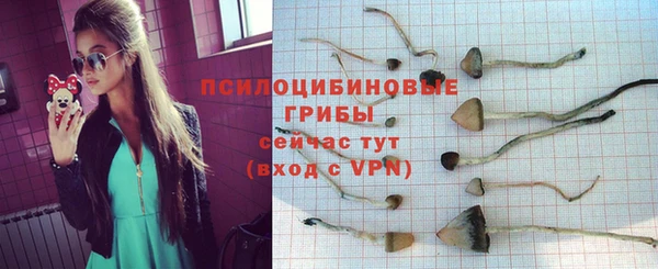MDMA Premium VHQ Волосово